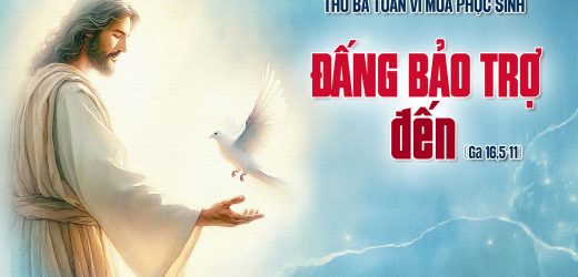 27.05.2025 – Thứ Ba Tuần VI Phục Sinh – Đấng Bảo Trợ Đến (Ga 16,5-11)