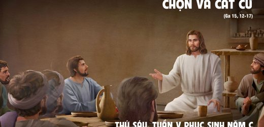 23.05.2025 – Thứ Sáu Tuần V Phục Sinh – Chọn Và Cắt Cử (Ga 15,12-17)