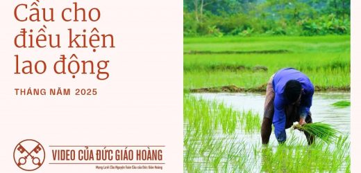 Ý Cầu Nguyện Của Đức Thánh Cha Tháng 05/2025: Cầu Nguyện Cho Điều Kiện Lao Động