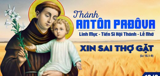 13.06.2025 – Thánh Antôn Pađôva, Lm, Tiến Sĩ Hội Thánh – Xin Sai Thợ Gặt (Lc 10,1-9)