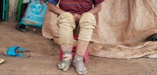 Giữa Rẫy Cà Phê – Một Cuộc Gặp Không Quên