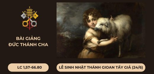 Bài Giảng Đức Thánh Cha – Lễ Sinh Nhật Thánh Gioan Tẩy Giả (24/06)