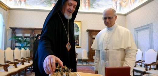 ĐTC Lêô Gặp Gỡ Phái Đoàn Tòa Thượng Phụ Đại Kết: Một Bước Tiến Trong Hành Trình Hiệp Nhất