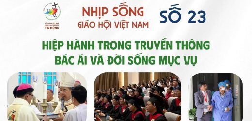 Nhịp Sống Giáo Hội Việt Nam Số 23 (26/5 – 02/6/2025): Hiệp Hành Trong Truyền Thông – Bác Ái Và Đời Sống Mục Vụ