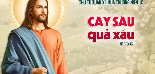 25.06.2025 – Thứ Tư Tuần XII Thường Niên – Cây Sâu, Quả Xấu (Mt 7,15-20)