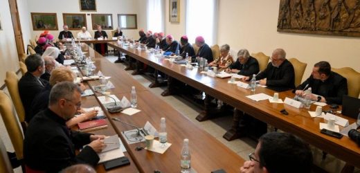 Tài Liệu Đồng Hành Với Giai Đoạn Thực Hiện Của Thượng Hội Đồng Về Hiệp Hành Sẽ Được Công Bố Ngày 7/7