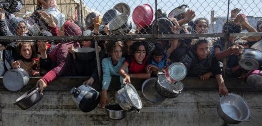 Đức Thánh Cha Gởi Sứ Điệp Đến Hội Nghị FAO: “Đã Đến Lúc Hành Động, Không Chỉ Là Khẩu Hiệu”