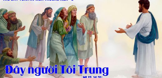 19.07.2025 – Thứ Bảy Tuần XV Thường Niên – Đây Người Tôi Trung (Mt 12,14-21)