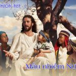 16.07.2025 – Thứ Tư Tuần XV Thường Niên – Mầu Nhiệm Nước Trời (Mt 11,25-27)