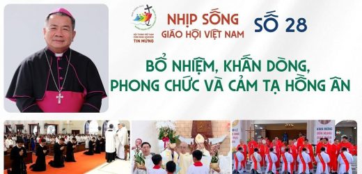 Nhịp Sống Giáo Hội Việt Nam Số 28 (01/7 – 07/7/2025): Bổ Nhiệm, Khấn Dòng, Phong Chức Và Cảm Tạ Hồng Ân