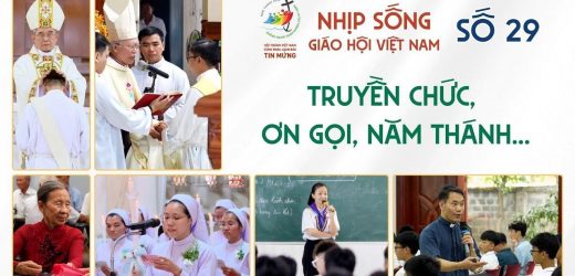 Nhịp Sống Giáo Hội Việt Nam Số 29 (08/7 – 14/7/2025): Truyền Chức, Ơn Gọi, Năm Thánh…