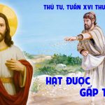 23.07.2025 – Thứ Tư Tuần XVI Thường Niên – Hạt Được Gấp Trăm (Mt 13,1-9)