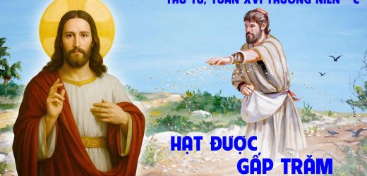 23.07.2025 – Thứ Tư Tuần XVI Thường Niên – Hạt Được Gấp Trăm (Mt 13,1-9)