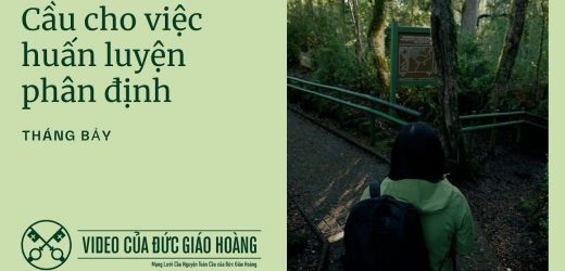 Ý Cầu Nguyện Tháng 7: Đức Thánh Cha Mời Gọi Cầu Nguyện Cho Việc Huấn Luyện Phân Định