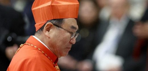 Tổng Thư Ký Liên HĐGM Á Châu: Cách Nhìn Cuộc Sống Của Con Người Đã Thay Đổi