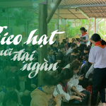 Gieo Hạt Nơi Đại Ngàn