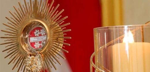 Thánh Tích Của Chân Phước Acutis Được Đưa Đến Nhiều Nước Châu Á Trước Ngày Tuyên Thánh