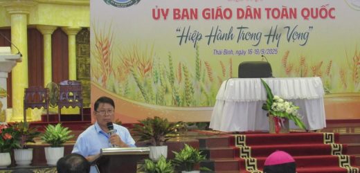 Tinh Thần Hiệp Thông Của Ủy Ban Giáo Dân Các Giáo Phận Trong Giáo Tỉnh Huế Giai Đoạn 2023–2025