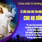 Chúa Nhật XXXI Thường Niên, Năm C (02.11.2025) – Lễ Các Đẳng Linh Hồn – Cho Họ Sống Lại (Ga 6,37-40)