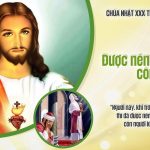 Chúa Nhật XXX Thường Niên, Năm C (26.10.2025) – Được Nên Công Chính (Lc 18,9-14)