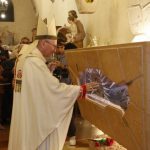 Đức Hồng y Parolin: “Thánh Carlo Acutis, Viên Ngọc Quý Của Assisi Và Món Quà Lớn Cho Giáo Hội”