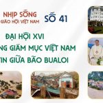 Đại Hội XVI Hội Đồng Giám Mục Việt Nam – Niềm Tin Giữa Bão Bualoi: Nhịp Sống Giáo Hội Việt Nam Số 41 (30/9 – 06/10/2025)