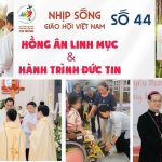 Hồng Ân Linh Mục Và Hành Trình Đức Tin: Nhịp Sống Giáo Hội Việt Nam Số 44 (20/10 – 27/10/2025)