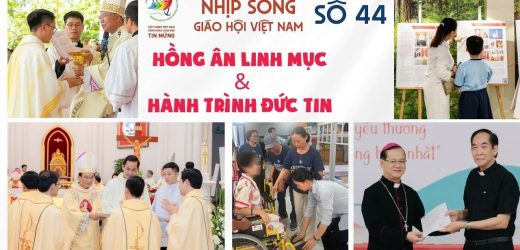 Hồng Ân Linh Mục Và Hành Trình Đức Tin: Nhịp Sống Giáo Hội Việt Nam Số 44 (20/10 – 27/10/2025)