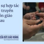 Ý Cầu Nguyện Của Đức Giáo Hoàng Tháng 10/2025: Cầu Nguyện Cho Sự Hợp Tác Giữa Các Truyền Thống Tôn Giáo Khác Nhau
