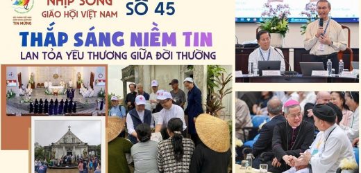 Thắp Sáng Niềm Tin – Lan Tỏa Yêu Thương Giữa Đời Thường: Nhịp Sống Giáo Hội Việt Nam Số 45 (26/10 – 03/11/2025)