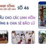 Tháng Cầu Cho Các Linh Hồn, Hiệp Thông Và Chia Sẻ Bão Lũ: Nhịp Sống Giáo Hội Việt Nam Số 46 (04/11 – 10/11/2025)