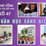 Một Tuần Rực Sáng Niềm Tin – Nhịp Sống Giáo Hội Việt Nam Số 47 (11/11 – 17/11/2025)