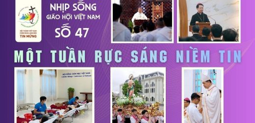 Một Tuần Rực Sáng Niềm Tin – Nhịp Sống Giáo Hội Việt Nam Số 47 (11/11 – 17/11/2025)