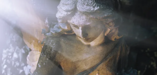 Tại Sao Tháng 11 Là Tháng Để Gợi Nhớ Về Tứ Chung