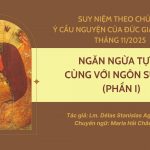 Ngăn Ngừa Tự tử Cùng Với Ngôn Sứ Êlia (Phần I) – Suy Niệm Theo Chủ Đề Ý Cầu Nguyện Của Đức Giáo Hoàng Tháng 11/2025