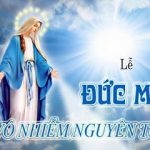 08.12.2025 – Lễ Đức Mẹ Vô Nhiễm Nguyên Tội – Đấng Đầy Ân Sủng (Lc 1,26-38)