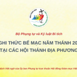 Nghi Thức Bế Mạc Năm Thánh 2025 Tại Các Giáo Hội Địa Phương