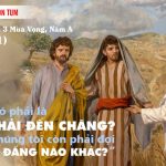 Chúa Nhật III Mùa Vọng, Năm A (14.12.2025) – Sứ Giả Dọn Đường (Mt 11,2-11)