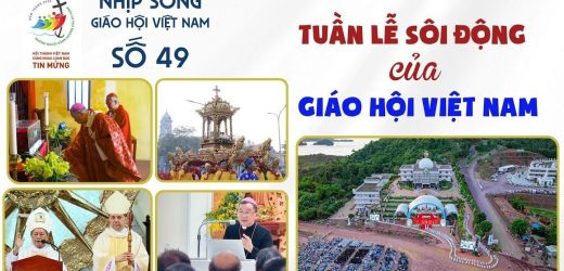 Tuần Lễ Sôi Động Của Giáo Hội Việt Nam – Nhịp Sống Giáo Hội Việt Nam Số 49 (23/11-30/11/2025)