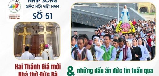 Hai Thánh Giá Mới Nhà Thờ Đức Bà & Những Dấu Ấn Đức Tin Tuần Qua – Nhịp Sống Giáo Hội Việt Nam Số 51 (08/12 – 15/12/2025)