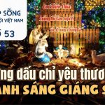 Những Dấu Chỉ Yêu Thương Và Ánh Sáng Giáng Sinh – Nhịp Sống Giáo Hội Việt Nam Số 53 (22/12 – 27/12/2025)