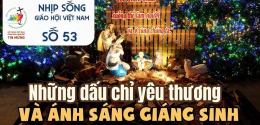 Những Dấu Chỉ Yêu Thương Và Ánh Sáng Giáng Sinh – Nhịp Sống Giáo Hội Việt Nam Số 53 (22/12 – 27/12/2025)