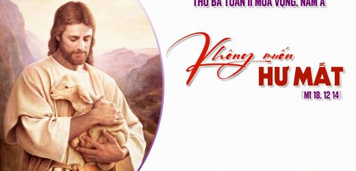09.12.2025 – Thứ Ba Tuần II Mùa Vọng, Năm A – Không Muốn Hư Mất (Mt 18,12-14)