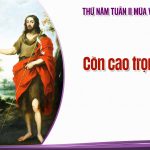 11.12.2025 – Thứ Năm Tuần II Mùa Vọng, Năm A – Còn Cao Trọng Hơn (Mt 11,11-15)