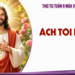 10.12.2025 – Thứ Tư Tuần II Mùa Vọng, Năm A – Ách Tôi Êm Ái (Mt 11,28-30)