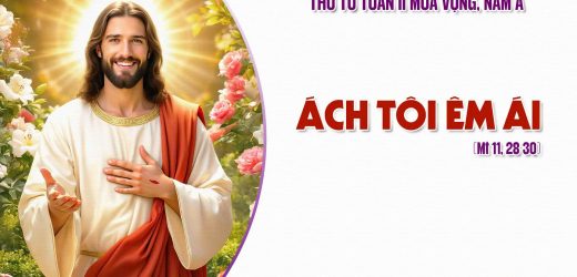 10.12.2025 – Thứ Tư Tuần II Mùa Vọng, Năm A – Ách Tôi Êm Ái (Mt 11,28-30)