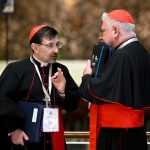 Thấy Gì Qua Công Nghị Hồng Y Ngoại Thường?