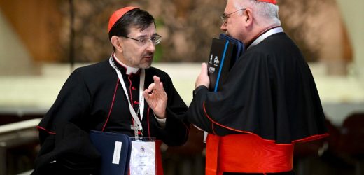 Thấy Gì Qua Công Nghị Hồng Y Ngoại Thường?