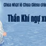 Chúa Nhật Chúa Giêsu Chịu Phép Rửa, Năm A (11.01.2026) – Thần Khí Đáp Xuống (Mt 3,13-17)