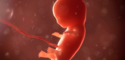 Puerto Rico Ban Hành Luật Công Nhận Thai Nhi Là Chủ Thể Pháp Lý